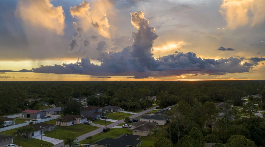goldenrod fl