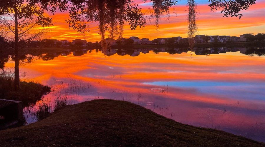 longwood fl